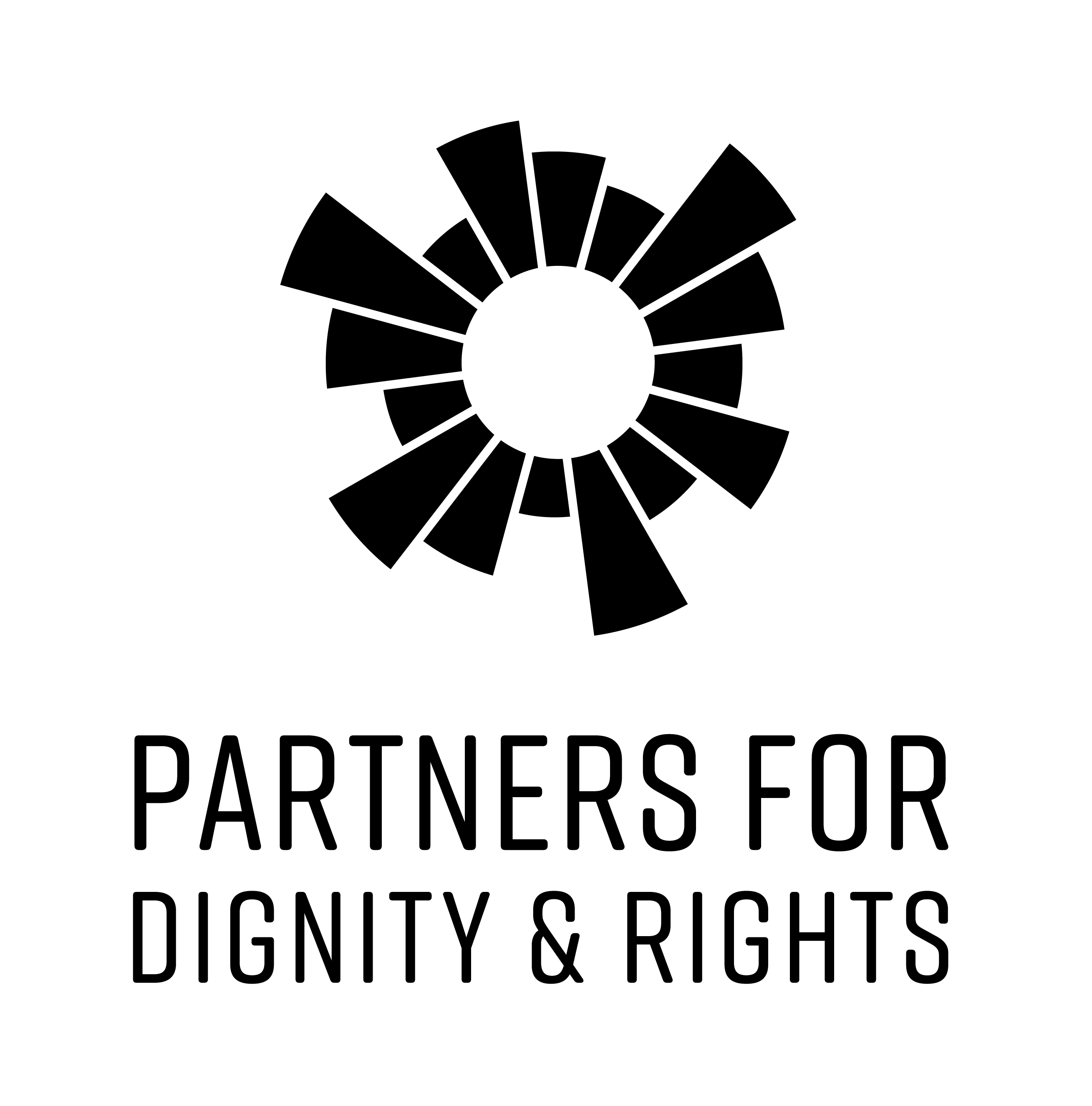 Partners for Dignity and Rights logo