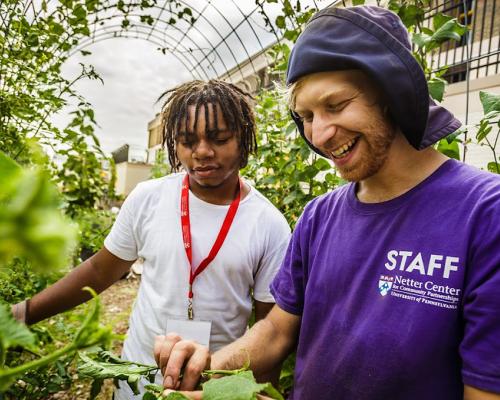 Community school garden