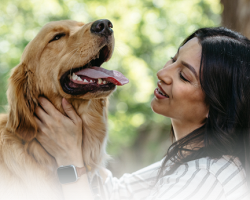 Woman at eye level with golden retriever, scratching under its jaw, dog is very happy