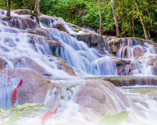 River water going over a small tumble of rocks