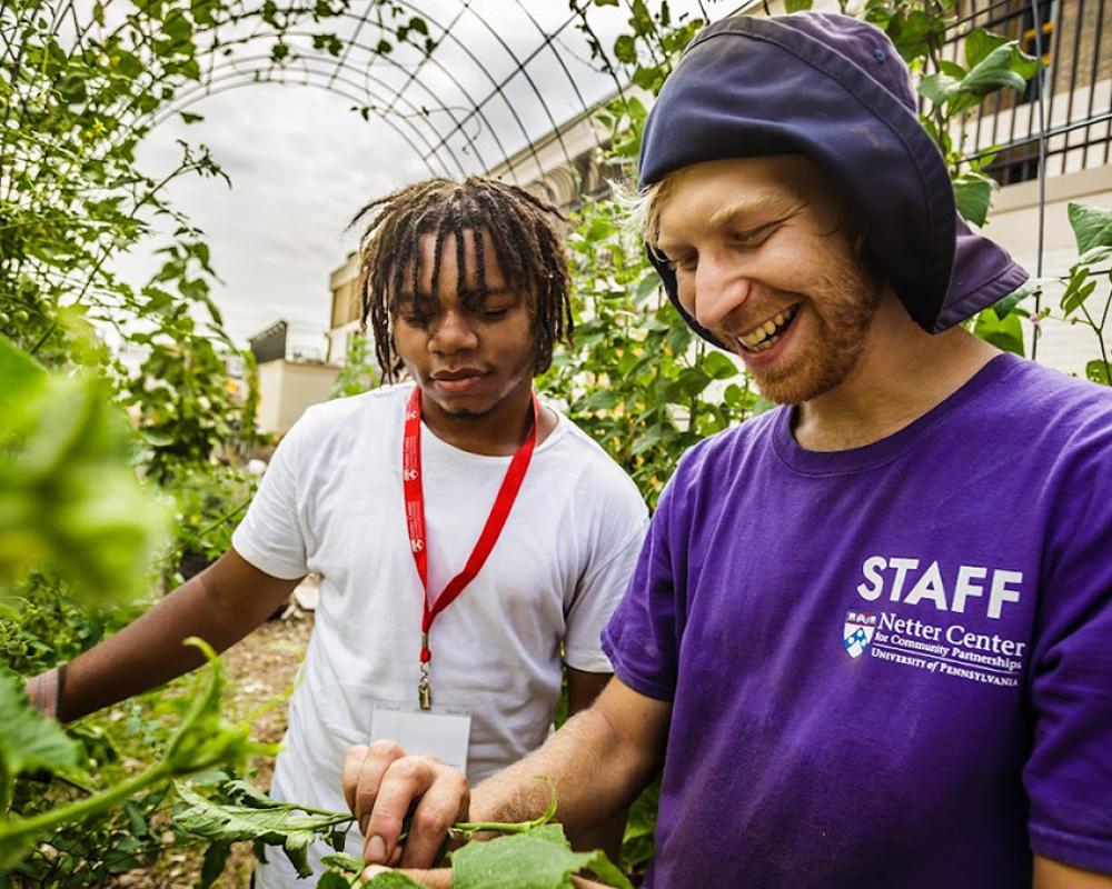 Community school garden