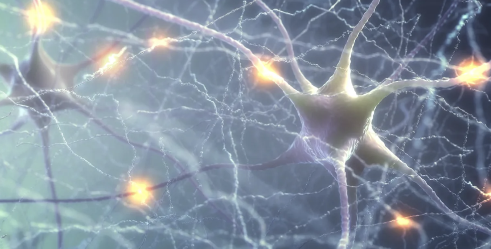 illustration of neurons in the brains communicating