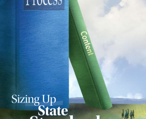  Sizing Up State Standards 2008 