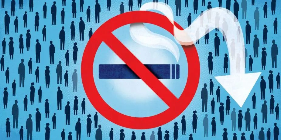 public health tobacco act 2002 The Tobacco Epidemic