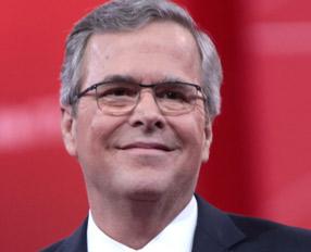 Jeb Bush