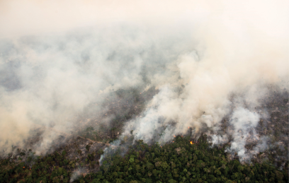 fires in the Jamari Forest Reserve, Brazil