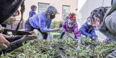 Huerto escolar en la escuela primaria Kimball