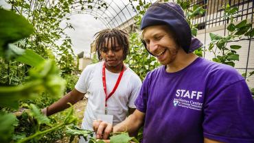 Community school garden