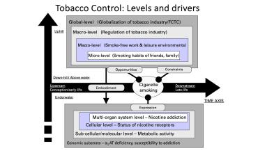 chart showing levels and drivers of tobacco control
